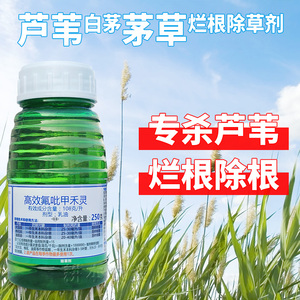 芦苇专用除草剂
