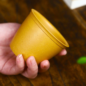 宜兴紫砂杯黄金段泥主人杯陈富艳大号品茗杯达观说器小脱同款茶杯