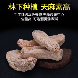 云南昭通深山老林纯野生高海拔天麻 纯正宗可代切片磨粉