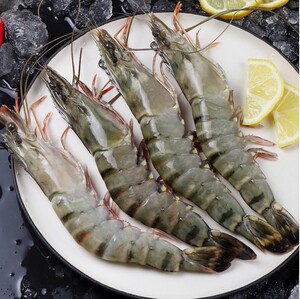 黑虎虾基围虾 越南大虾鲜活海鲜水产 虎虾竹节虾老虎虾1400g一盒