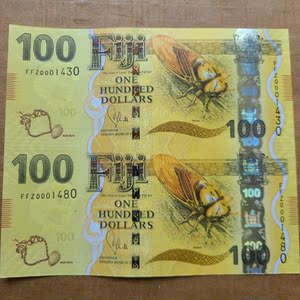 斐济100元