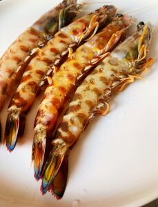 野生大虾斑节虾 肉质饱满鲜嫩 500g