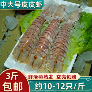 北海皮皮虾鲜活免邮海鲜水产野生新鲜虾爬子中超大濑尿虾蒸熟发货