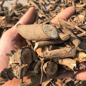 野生新鲜苦刺根晒干 三叶五加 苦刺茶  苦刺根干货500克发货