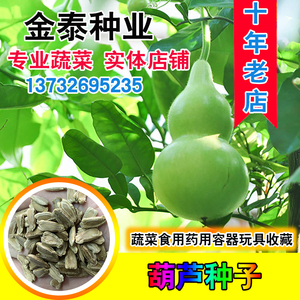 葫芦种子庭院瓢瓠子 匏 夏季秋季天然巨型特大葫芦种子爻水