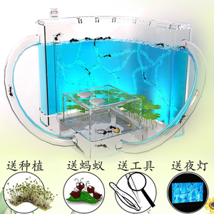 蚂蚁城堡家园别墅巢穴超大号豪华亚克力工坊生态箱农场盒子宠物