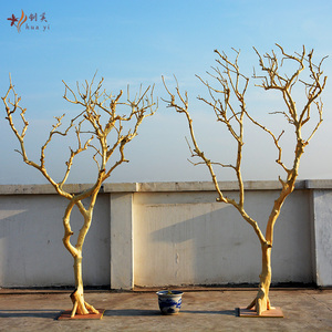 枯树定制生态天然造型枯木装饰干树枝摄影道具树实木干枝装饰假树