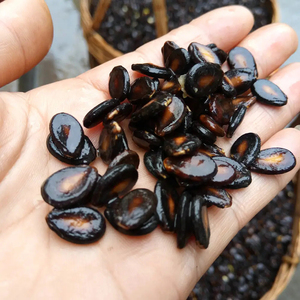 自家水煮西瓜子五香大板湿籽瓜子兰州特产新货食品足两斤真空包邮