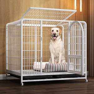 狗笼子宠物小型犬柯基中型犬室内大型犬金毛带厕所分离家用狗别墅