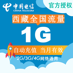 西藏全国电信流量充值1G手机流量充值卡4G/3G/2G 当月有效叠加Z