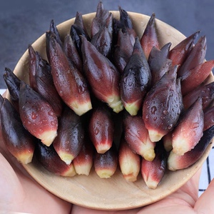 湘西洋荷姜阳荷姜 湖南新鲜野生洋河阳和姜洋火阳藿洋荷洋胡姜