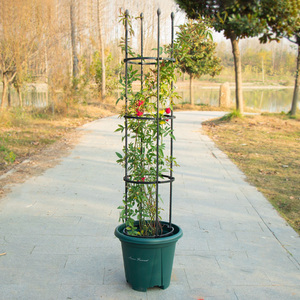 爬藤架子铁线莲花架月季花支架花盆栽植物攀爬架室内固定花支撑杆