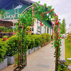 铝合金户外拱门花架花卉葡萄爬藤架月季绿植庭院花门可拆卸自安装