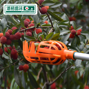 潘易摘杨梅手摘果剪工具高空伸缩摘果器剪采果器手动摘果剪水果