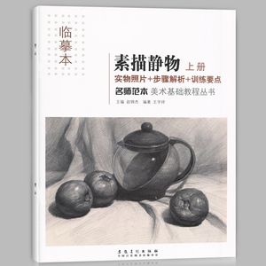 正版新版 名师范本美术基础教程丛书临摹本素描静物上册入门教材绘画