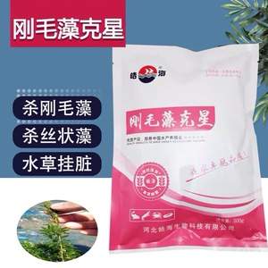 龙虾塘蟹塘杀钢毛藻水产养殖刚毛藻克星杀青苔丝状藻青苔泥皮绿藻
