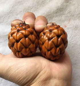 文玩核桃 精品文玩铁树果 古玩铁树籽 天然野铁树子手把件1对