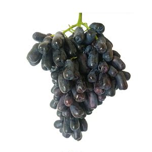 澳洲金手指葡萄新鲜当季无籽黑提黑葡萄黑手指孕妇1/2/3/4/5斤装