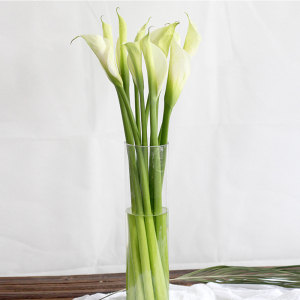 马蹄莲鲜花国产白色家庭办公室直批直发水养瓶插花海芋百合女神节