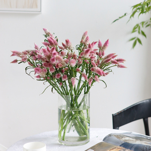 粉色多头凤尾鲜花可做干花配花家庭插花顺丰生日办公室情人节礼物