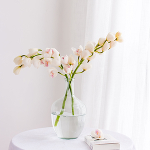 大花蕙兰鲜花国产上海直发家用水养插花鲜切花桌花婚礼女神节礼物