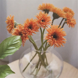 国产毛边拉丝弗朗鲜花上海直发家用水养瓶插花顺丰鲜切花女神节礼