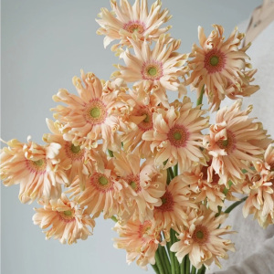 【弗朗花鲜花花束】弗朗花鲜花花束品牌,价格 - 阿里巴巴