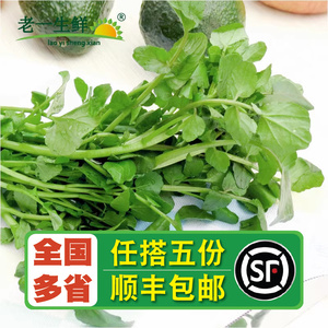 【老一生鲜】新鲜蔬菜 新鲜西洋菜 西餐蔬菜  豆瓣菜凉菜500g