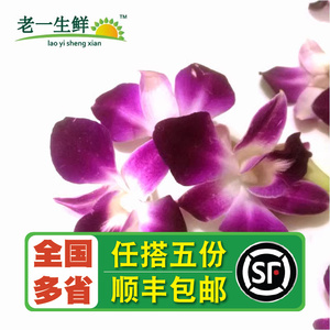 【老一生鲜】新鲜洋兰花250g 约80朵杨兰花马兰花摆盘装饰鲜花