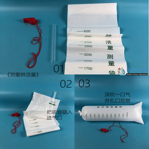 测量肺活量实验材料诺贝尔科教器材简易肺活量测量袋哨子