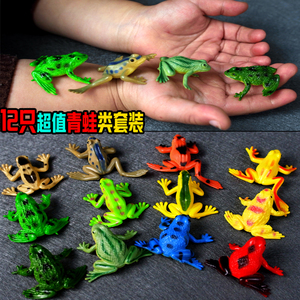 仿真可爱青蛙模型玩具林蛙蟾蜍两栖动物实心塑胶套装儿童认知礼物