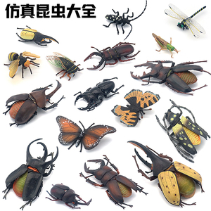 仿真大甲虫模型玩具动物昆虫标本蜜蜂楸甲塑胶蝴蝶儿童认知科教育