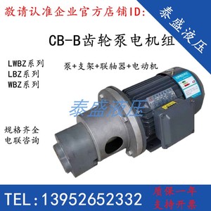LWBZ-20 LBZ-25齿轮油泵WBZ-16/4/2.5/6/10/40/50/63电机组CB-B32