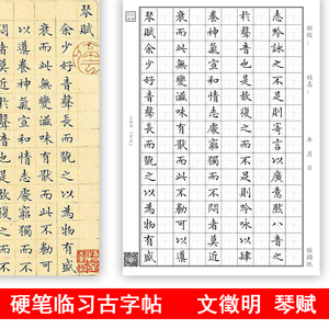 古人文征明琴赋成人学生男女生硬笔钢笔描红临摹小楷书法练字帖