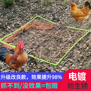 制作自动抓鸽子神器图图片