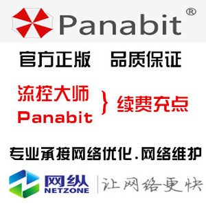流控大师 Panabit 软件续费充点 专业网络优化 网络维护
