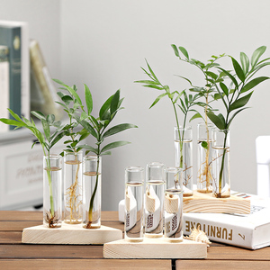 创意水培花瓶透明玻璃小清新木艺摆件插花瓶桌面绿萝水养植物容器