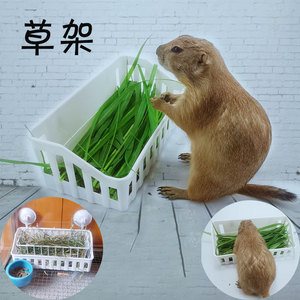 黑尾土拨鼠旱獭兔子豚鼠的草架玻璃缸吸盘草架吃饭的碗食盆食盒架