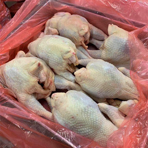 新鲜冷冻生鸡肉东北老母鸡黄油老母鸡红毛鸡高汤老母鸡食材20斤