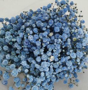 80孙小雪111淘宝蓝色满天星干花大花束520情人节礼盒送人女朋友闺蜜