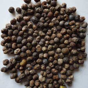 刘桢795淘宝布迪椰子加拿利海枣哦国王椰子华棕老人葵海枣树热带