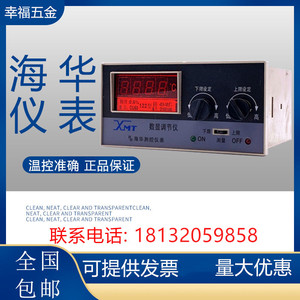 XMTD-2001/3001 E型数显调节仪数字温控表温控器上海海华测控仪表