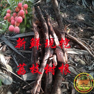 荔枝便宜