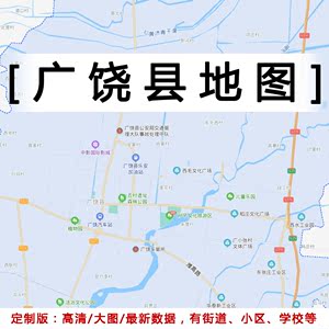 广饶县大王镇行政地图图片