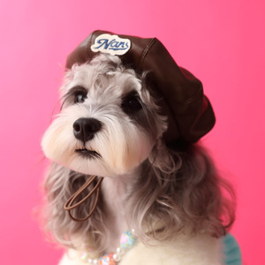 宠物贝蕾帽狗狗拍照帽子凹造型女狗狗饰品雪纳瑞甜酷南瓜帽用品