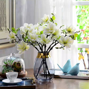 鲜枝玉兰花水培水养植物花卉室内客厅办公桌真花插花绿植花卉盆栽