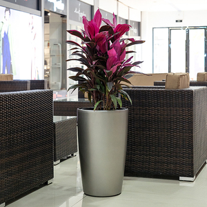 欧式大花盆高筒圆形现代客厅落地轻奢树脂自吸水别墅高花盆发财树