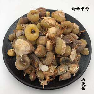 中药材山茨菇,种植冰球子,毛慈菇,泥宾子人头七500g包邮