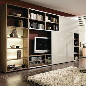 意式书柜现代简约电视柜组合书柜客厅背景墙视听柜整套电视书架