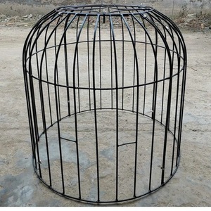 斗鸡笼子罩笼训练